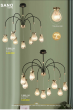 SANO LIGHTING 2025 Trang 187