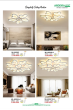 ANDORA LIGHT 2025 Trang 138