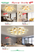 ANDORA LIGHT 2025 Trang 313