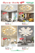 ANDORA LIGHT 2025 Trang 314