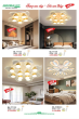 ANDORA LIGHT 2025 Trang 315