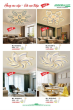 ANDORA LIGHT 2025 Trang 316