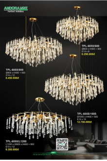 ANDORA LIGHT 2025 Trang 051 ANDORA LIGHT 2025 Trang 051