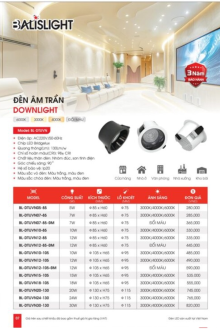 BALISLIGHT 2027 Trang 07