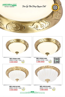 ANDORA LIGHT 2025 Trang 101 ANDORA LIGHT 2025 Trang 101