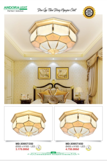 ANDORA LIGHT 2026 Trang 107