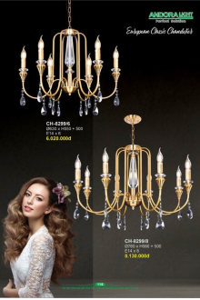 ANDORA LIGHT 2025 Trang 116 ANDORA LIGHT 2025 Trang 116
