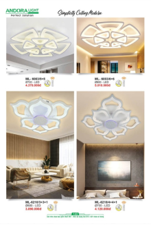 ANDORA LIGHT 2025 Trang 143 ANDORA LIGHT 2025 Trang 143