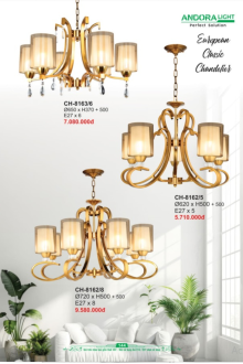 ANDORA LIGHT 2026 Trang 144