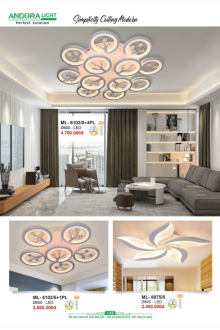 ANDORA LIGHT 2025 Trang 145 ANDORA LIGHT 2025 Trang 145