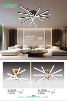 ANDORA LIGHT 2026 Trang 147