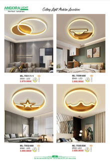 ANDORA LIGHT 2025 Trang 157 ANDORA LIGHT 2025 Trang 157