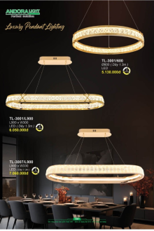 ANDORA LIGHT 2025 Trang 197 ANDORA LIGHT 2025 Trang 197