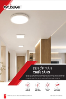 BALISLIGHT 2027 Trang 19