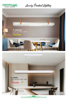 ANDORA LIGHT 2025 Trang 203 ANDORA LIGHT 2025 Trang 203