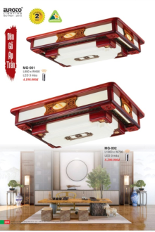 EUROTO 2025 Trang 205 EUROTO 2025 Trang 205