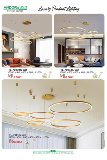 ANDORA LIGHT 2025 Trang 209 ANDORA LIGHT 2025 Trang 209