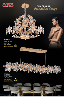HUFA 2027 Trang 210