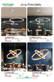 ANDORA LIGHT 2025 Trang 211 ANDORA LIGHT 2025 Trang 211
