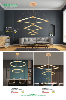 ANDORA LIGHT 2025 Trang 217 ANDORA LIGHT 2025 Trang 217