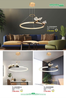 ANDORA LIGHT 2025 Trang 218 ANDORA LIGHT 2025 Trang 218
