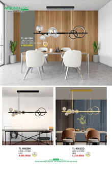 ANDORA LIGHT 2025 Trang 221 ANDORA LIGHT 2025 Trang 221