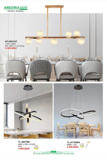 ANDORA LIGHT 2025 Trang 227 ANDORA LIGHT 2025 Trang 227