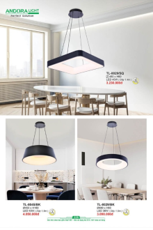 ANDORA LIGHT 2025 Trang 229 ANDORA LIGHT 2025 Trang 229