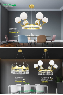 ANDORA LIGHT 2025 Trang 235 ANDORA LIGHT 2025 Trang 235