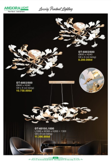 ANDORA LIGHT 2026 Trang 237