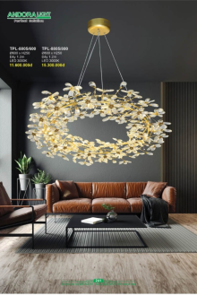 ANDORA LIGHT 2025 Trang 241 ANDORA LIGHT 2025 Trang 241