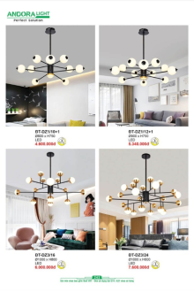 ANDORA LIGHT 2025 Trang 243 ANDORA LIGHT 2025 Trang 243