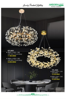 ANDORA LIGHT 2026 Trang 244