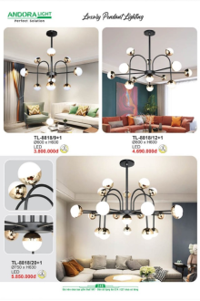 ANDORA LIGHT 2025 Trang 245 ANDORA LIGHT 2025 Trang 245