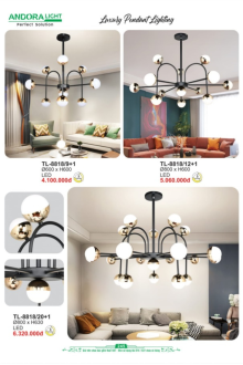 ANDORA LIGHT 2026 Trang 245