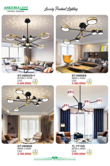 ANDORA LIGHT 2025 Trang 247 ANDORA LIGHT 2025 Trang 247