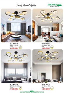 ANDORA LIGHT 2025 Trang 248 ANDORA LIGHT 2025 Trang 248