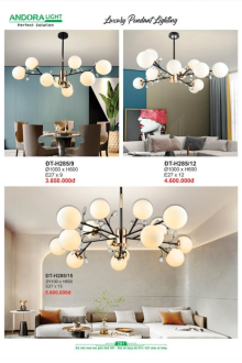 ANDORA LIGHT 2025 Trang 251 ANDORA LIGHT 2025 Trang 251