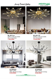 ANDORA LIGHT 2025 Trang 252 ANDORA LIGHT 2025 Trang 252