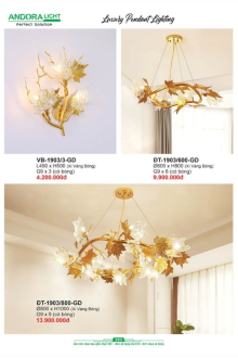 ANDORA LIGHT 2025 Trang 253 ANDORA LIGHT 2025 Trang 253