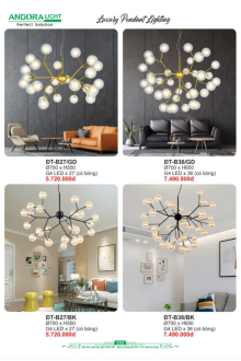 ANDORA LIGHT 2026 Trang 253