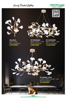 ANDORA LIGHT 2025 Trang 254 ANDORA LIGHT 2025 Trang 254