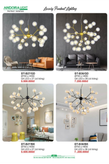 ANDORA LIGHT 2025 Trang 257 ANDORA LIGHT 2025 Trang 257