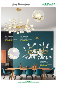 ANDORA LIGHT 2025 Trang 258 ANDORA LIGHT 2025 Trang 258