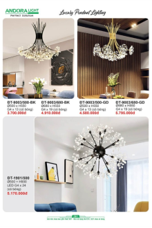 ANDORA LIGHT 2025 Trang 261 ANDORA LIGHT 2025 Trang 261