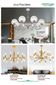 ANDORA LIGHT 2025 Trang 268 ANDORA LIGHT 2025 Trang 268