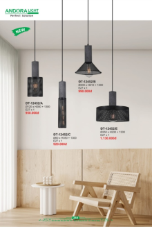 ANDORA LIGHT 2026 Trang 269