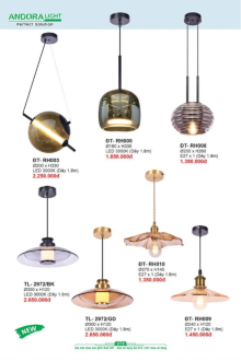 ANDORA LIGHT 2025 Trang 273 ANDORA LIGHT 2025 Trang 273
