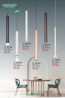 ANDORA LIGHT 2025 Trang 277 ANDORA LIGHT 2025 Trang 277