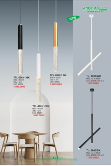 ANDORA LIGHT 2025 Trang 278 ANDORA LIGHT 2025 Trang 278